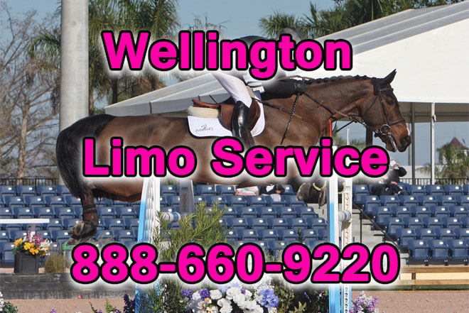 wellington limo service